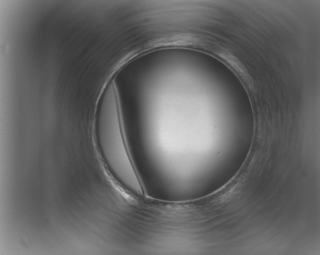X0000072930850200607210930