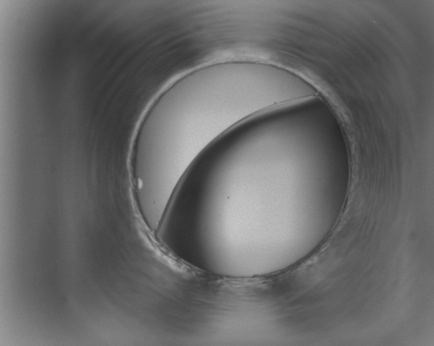 X0000072930864200607210930