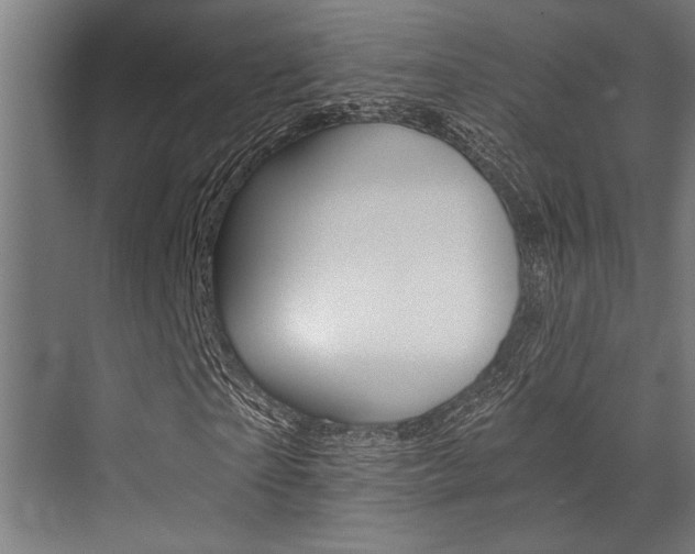 X0000072930865200607210929