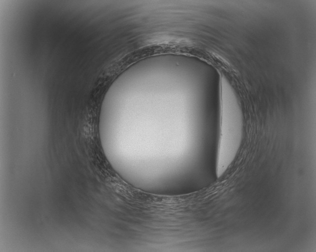 X0000072930869200607210929