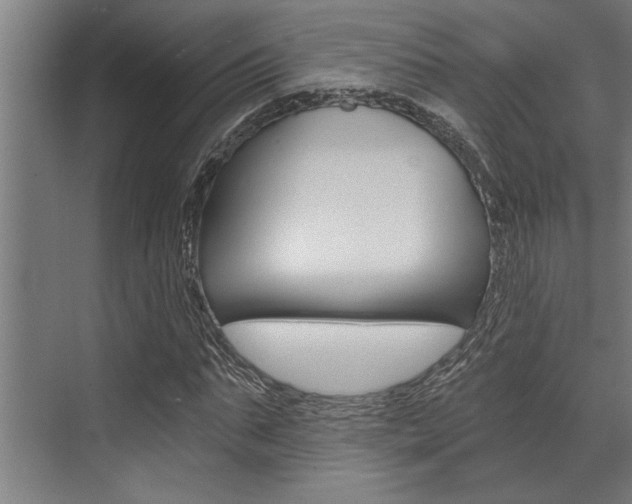 X0000072930871200607210929