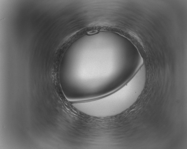 X0000072930872200607210929