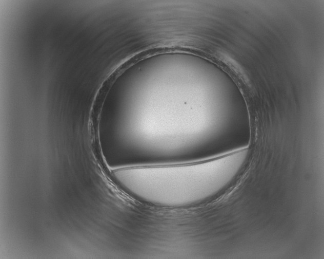 X0000072930876200607210929