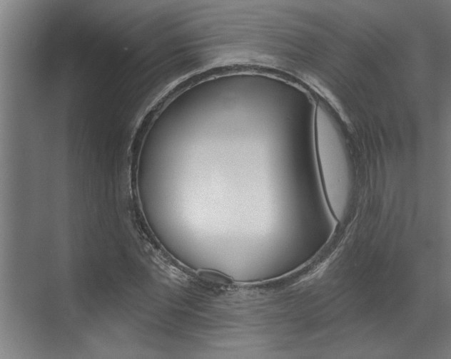 X0000072930877200607210929