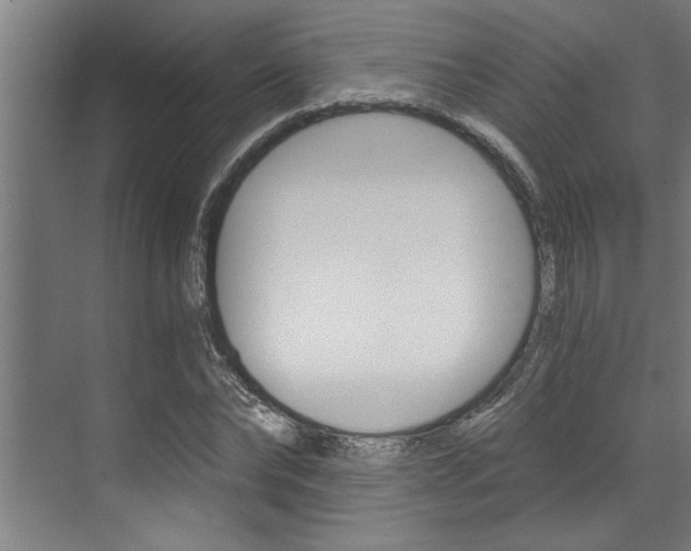 X0000072930878200607210929