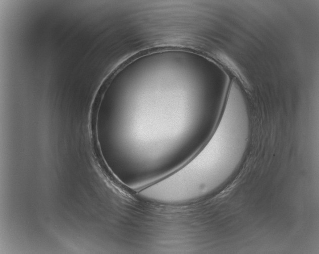 X0000072930884200607210929