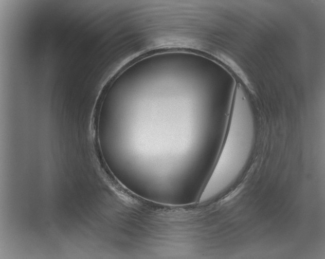 X0000072930885200607210929