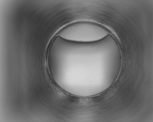 X0000072930887200607210929