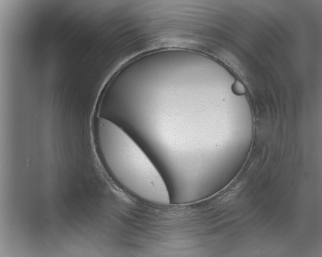 X0000072930891200607210929