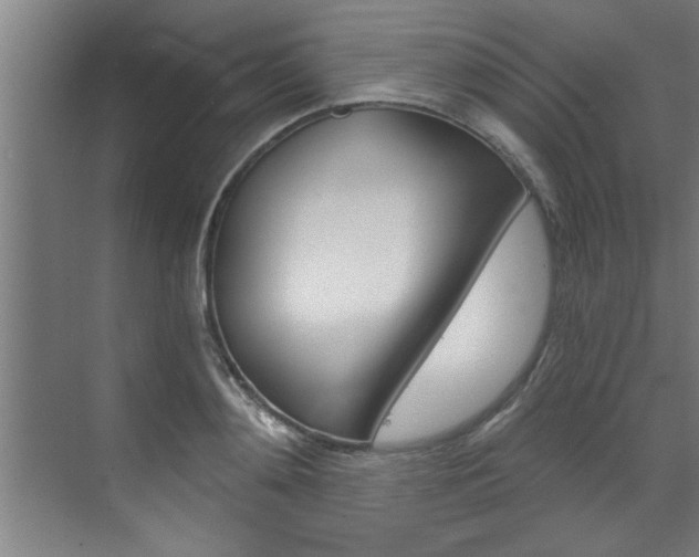 X0000072930892200607210929