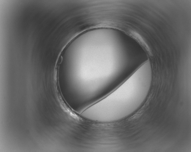 X0000072930900200607210929