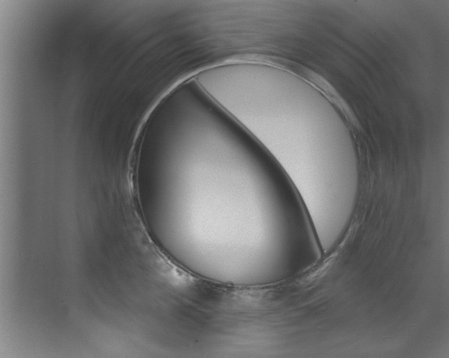 X0000072930908200607210929
