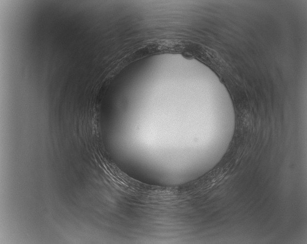 X0000072930914200607210928