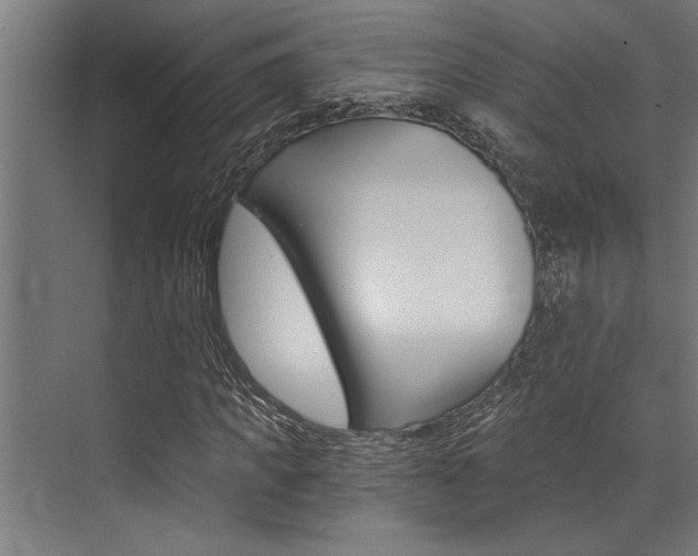 X0000072930917200607210928