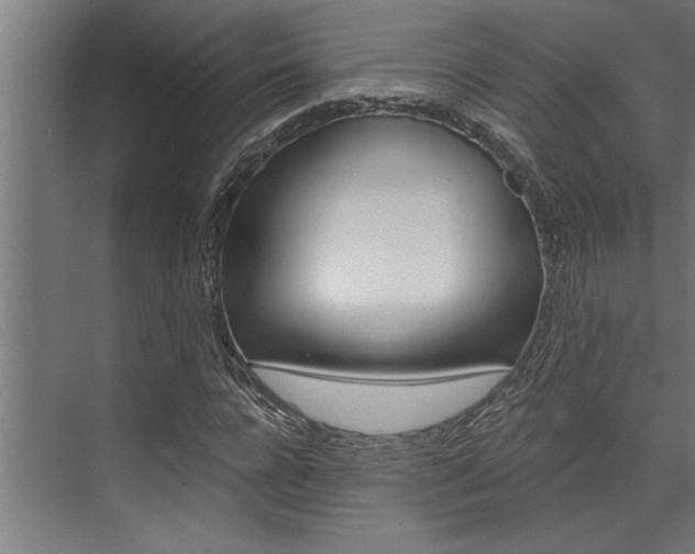 X0000072930920200607210928