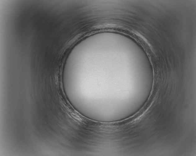 X0000072930921200607210928