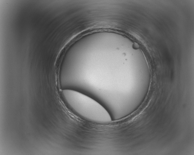 X0000072930925200607210928