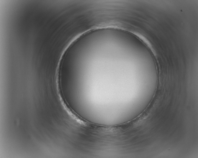 X0000072930949200607210928