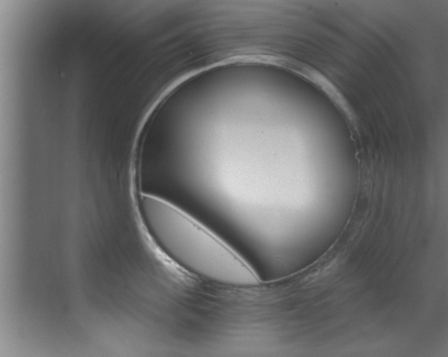 X0000072930955200607210928