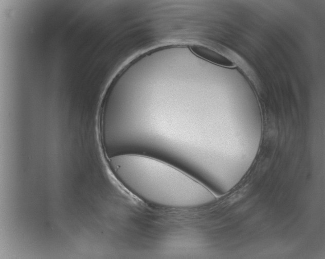 X0000072930958200607210928