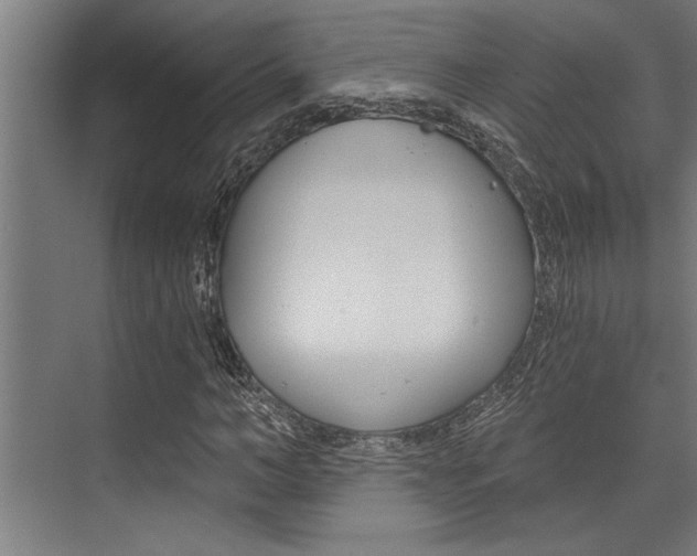 X0000072930966200607210928