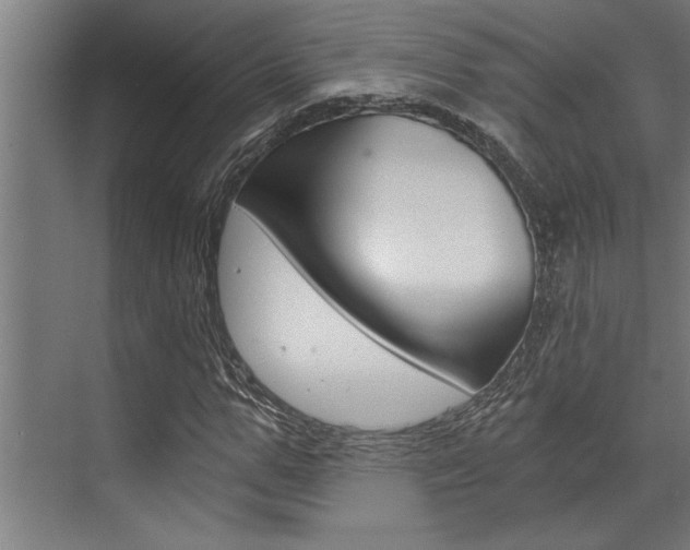 X0000072930967200607210928