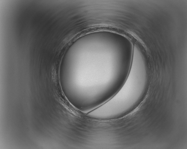 X0000072930969200607210928