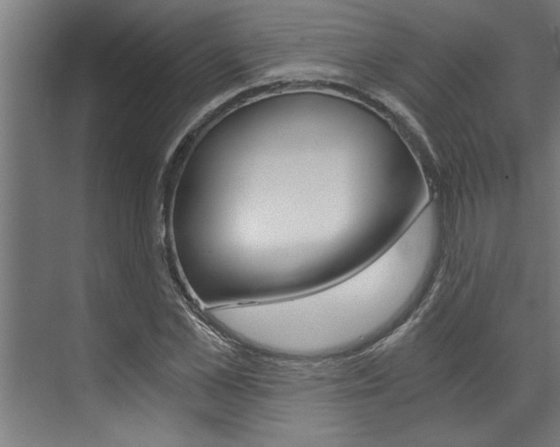 X0000072930973200607210928