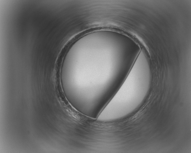 X0000072930975200607210927