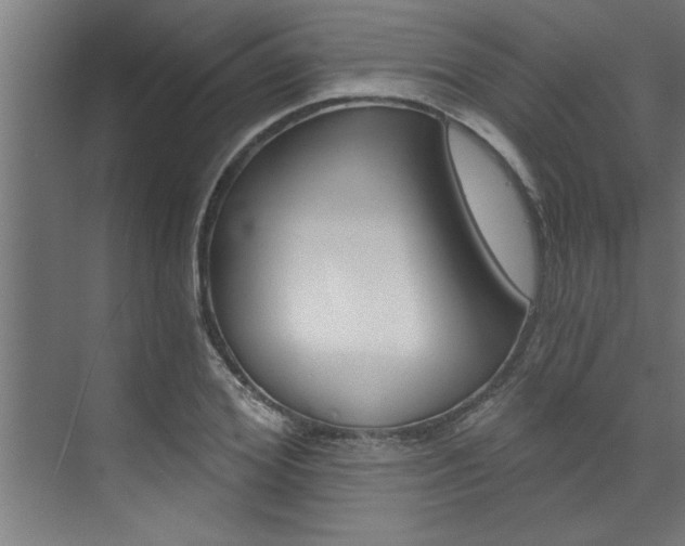 X0000072930980200607210927