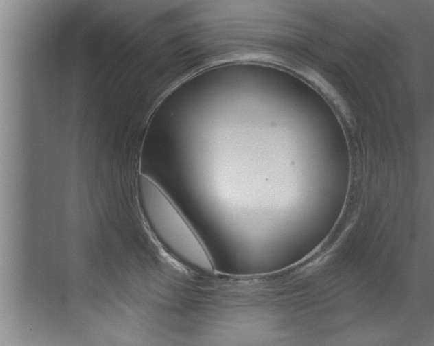 X0000072931001200607210927