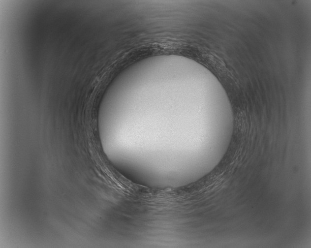 X0000072931009200607210926