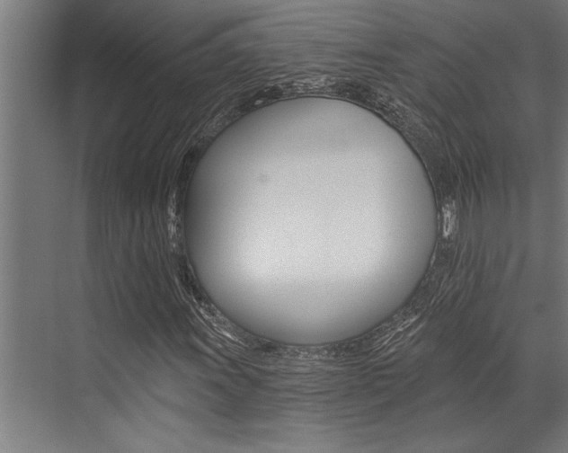 X0000072931011200607210926