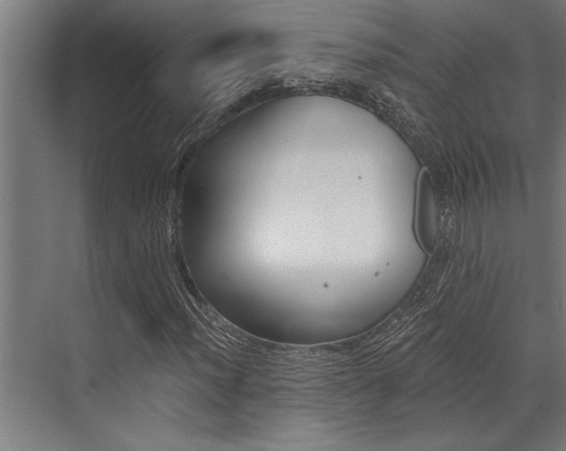 X0000072931012200607210926