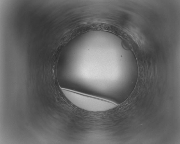 X0000072931013200607210926