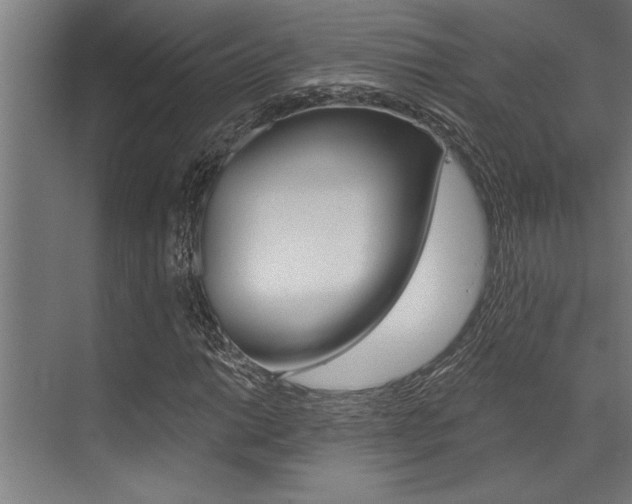 X0000072931014200607210926