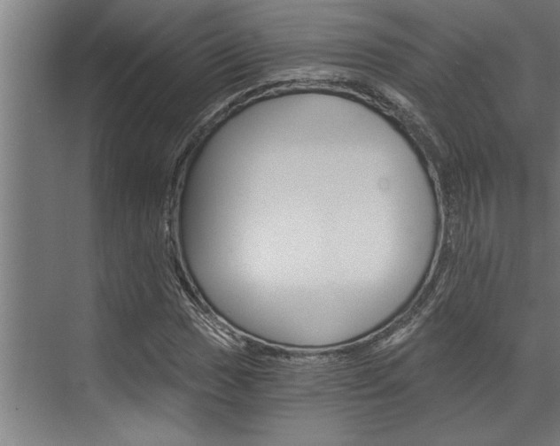 X0000072931017200607210926
