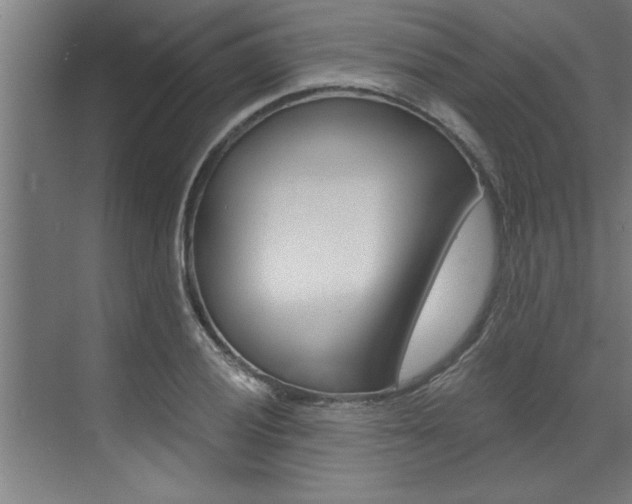 X0000072931028200607210926