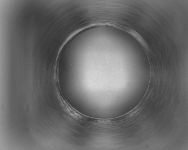 X0000072931052200607210927