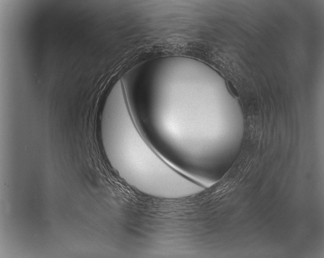 X0000072931057200607210926