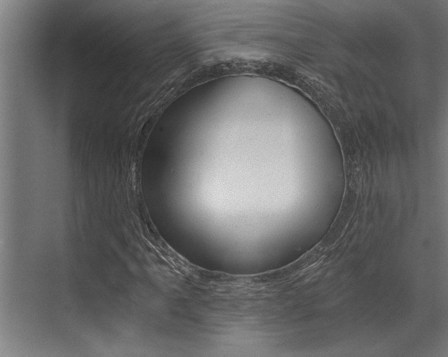 X0000072931061200607210926
