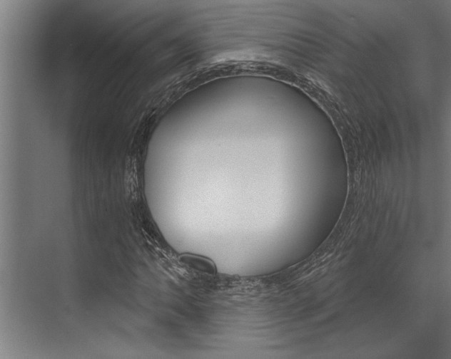 X0000072931062200607210926