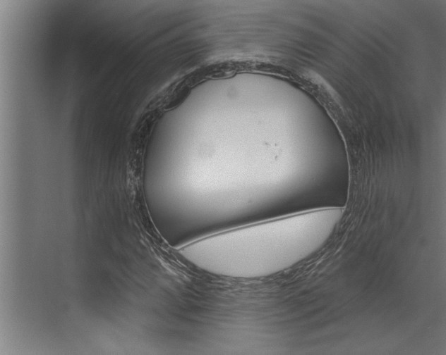 X0000072931064200607210926