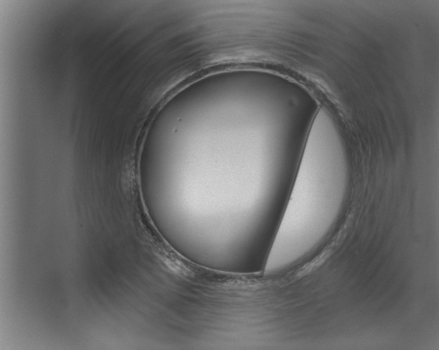 X0000072931073200607210926
