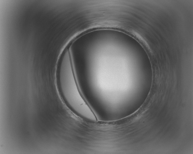 X0000072931085200607210926