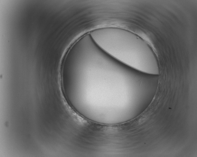 X0000072931088200607210926