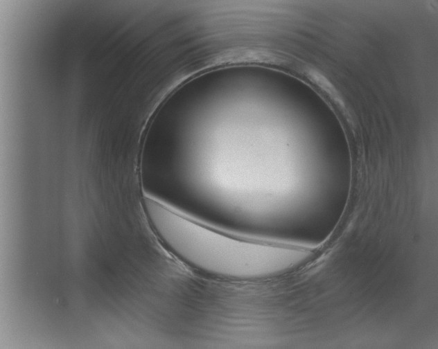X0000072931089200607210926