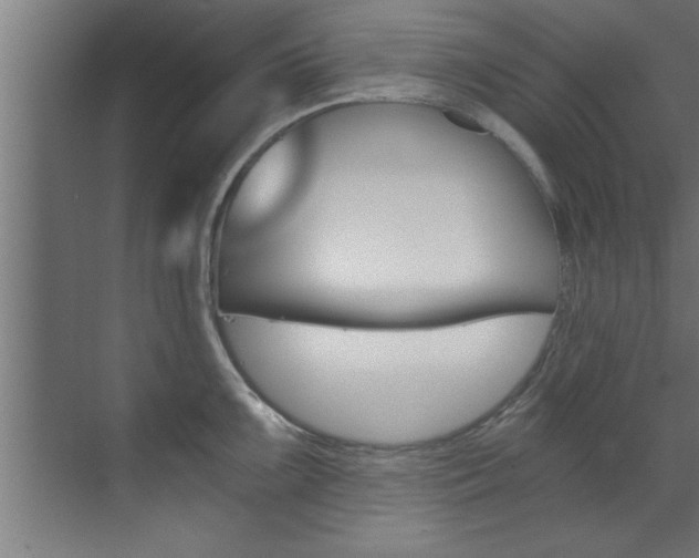 X0000072931099200607210925