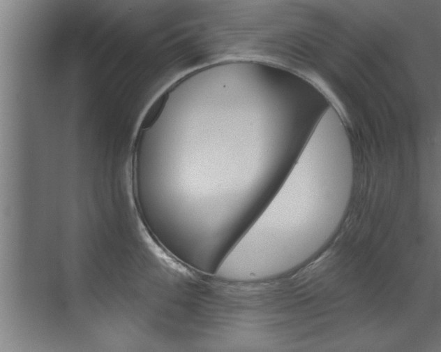 X0000072931100200607210925