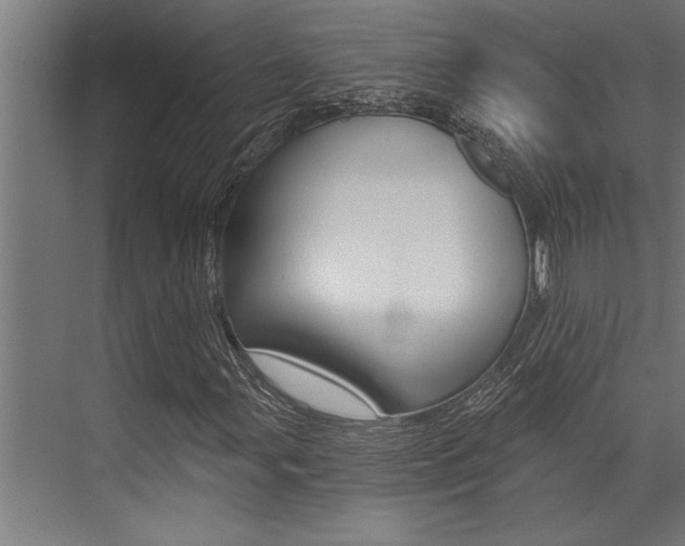 X0000072931107200607210925